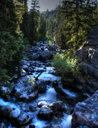 Mountain Stream in Yellowstone NP