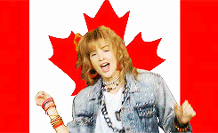 Image result for canada day robin sparkles
