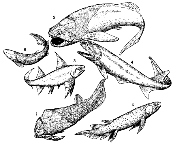 Devonian fishes