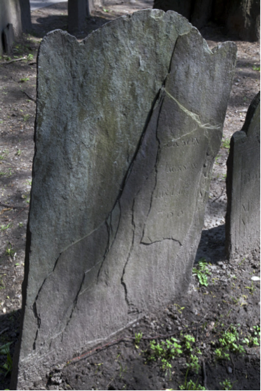 photo 7.png