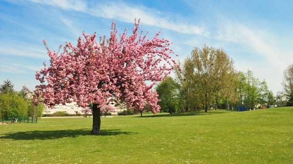 Parc Descartes