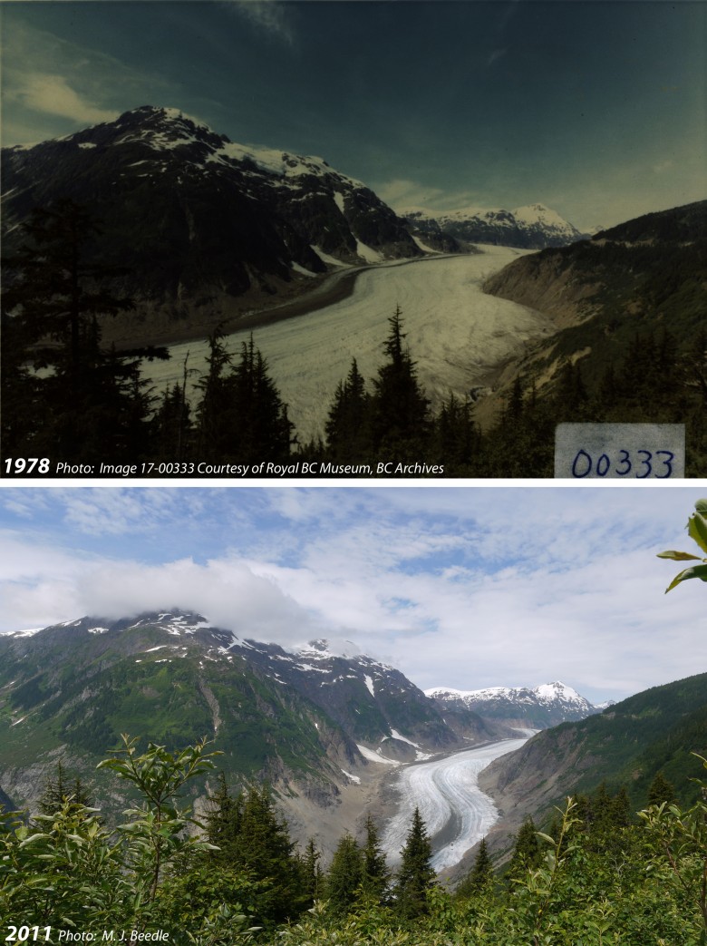 Salmon Glacier Terminus View in1978 and 2011