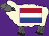 Sheep Dutch