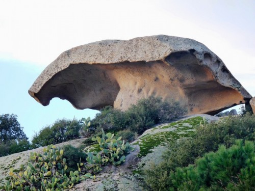 Il fungo, Arzachena