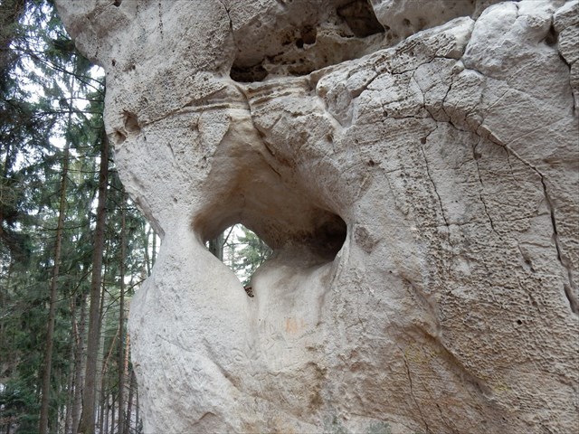 Osudová