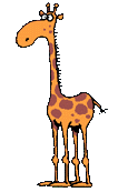 La girafe