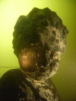 Andelicek na dne jezirka (rijen 2009)