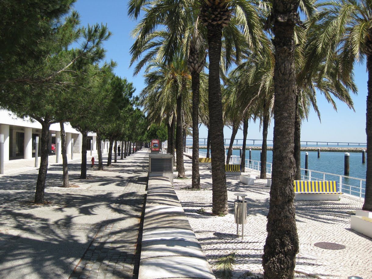 AQUI COLOCA O NOME DA FOTO