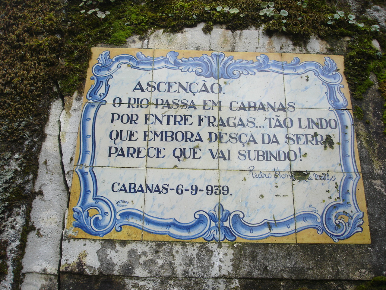 PEDROHOMEMDEMELLO