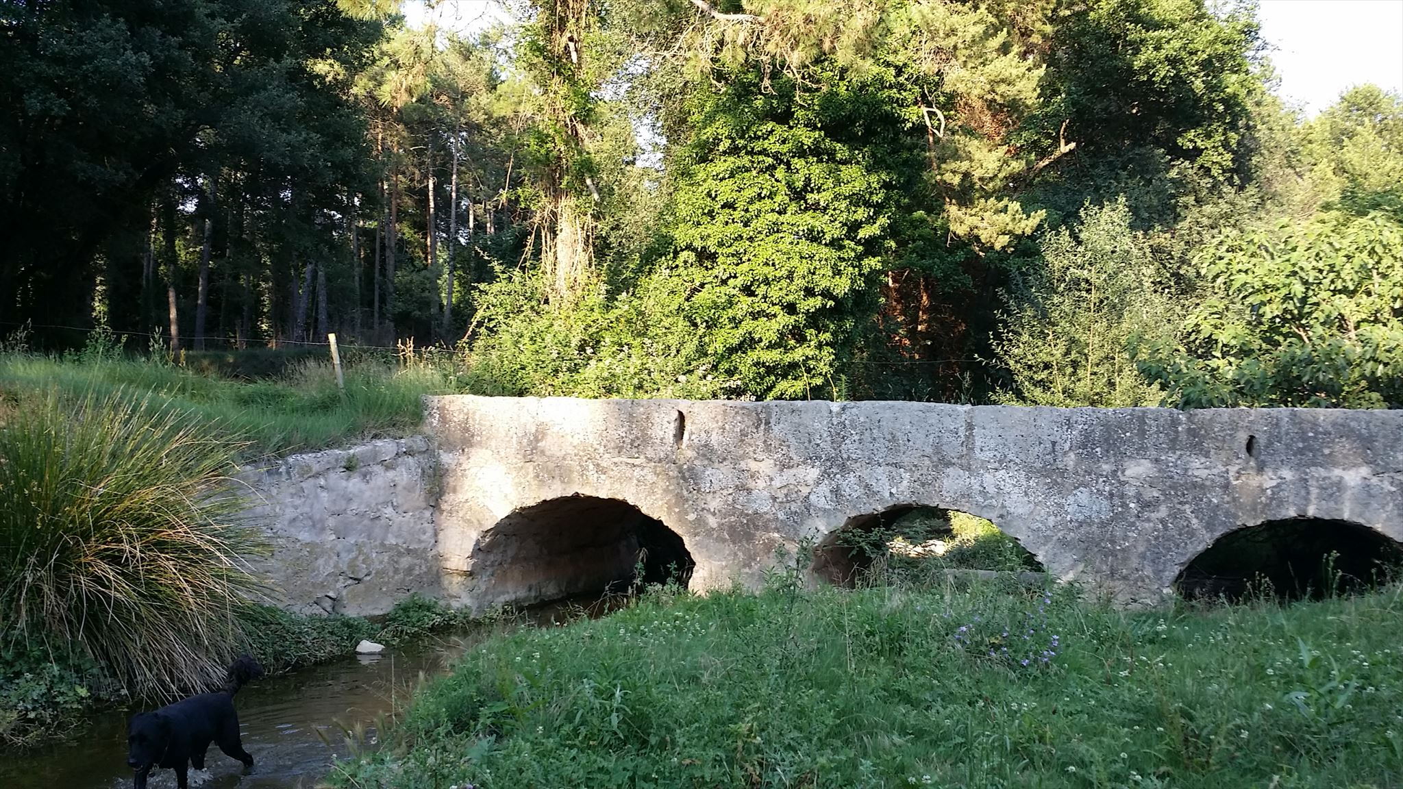 Pont de la Granota