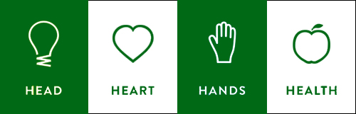 Head Hands Heart Health