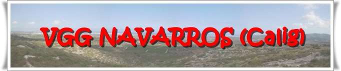 Vertice Navarros
