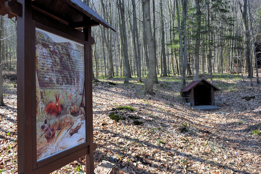 Foto záznam č.4271 - Studánka u Vetřkovského mostku