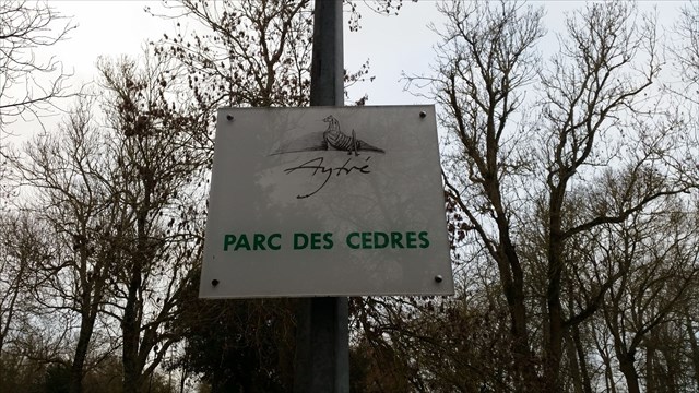 Parc des Cèdres