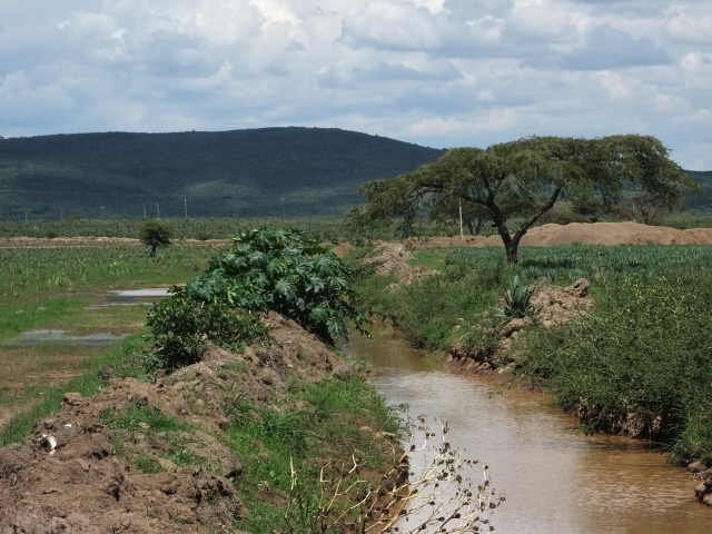 Looking from the cache position southeast along the canal (2015)