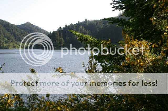 Loon Lake, OR