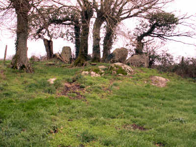 Dolmen de Karlane, commune de Saint Lyphard 
