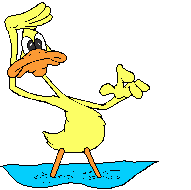 animated-duck-image-0019