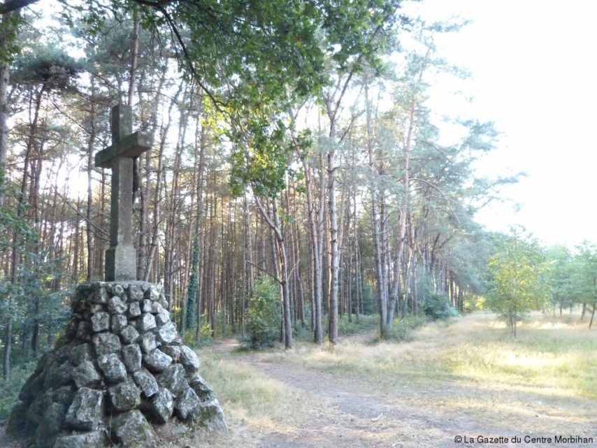 Aujourd’hui, le calvaire fait face à des milliers d’arbres et arbustes.