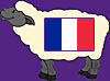 Sheep French