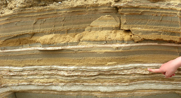 GEOL342 - Sedimentation and Stratigraphy