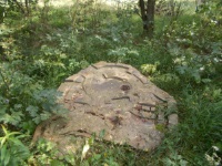 besiedelt, Jutta Schölzl