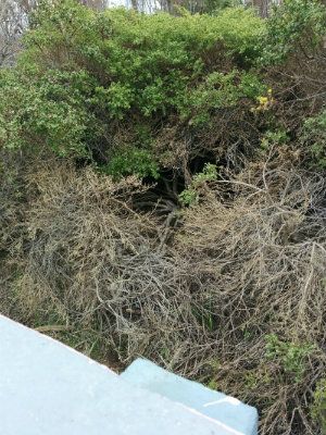  photo IMG_20151218_122025_zpsxt6pkrzs.jpg