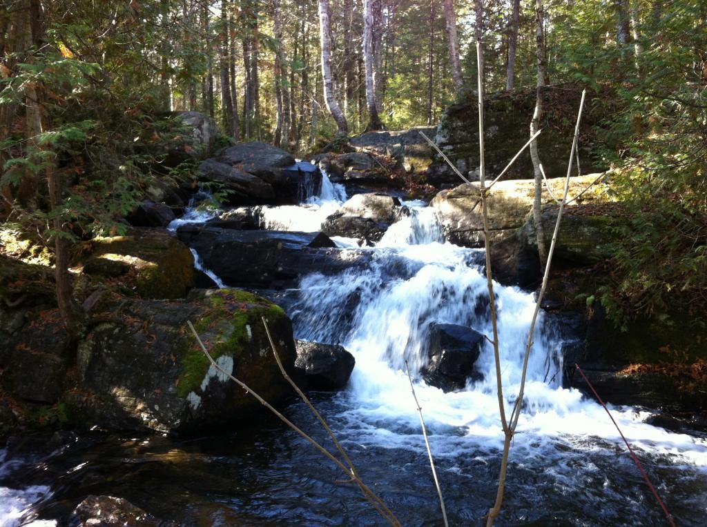 Cascade Camp Mariste