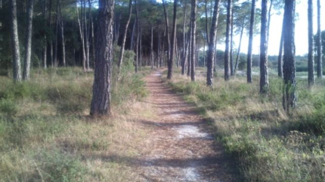 photo Cache201202_zpsocrxnrw7.jpg