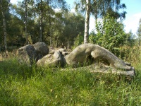 toter Ritter, Peter Schnaak