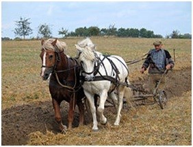 http://upload.wikimedia.org/wikipedia/commons/thumb/e/e7/Farmer_plowing_in_Fahrenwalde%2C_Mecklenburg-Vorpommern%2C_Germany.jpg/250px-Farmer_plowing_in_Fahrenwalde%2C_Mecklenburg-Vorpommern%2C_Germany.jpg