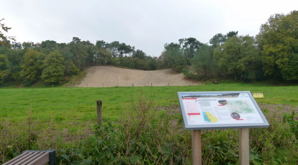 Kamduinen Huijbergen