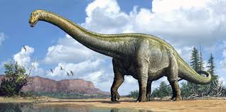 Diplodocus-like fossil in Uzbekistan hints Asia was a dinosaur hub - AKIpress News Agency