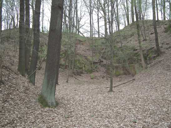 Steinbruch an der Hasenberger Höhe