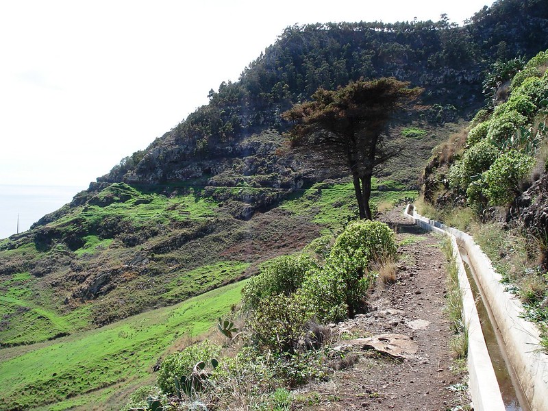Levada do Caniçal - Vereda da Boca do Risco
