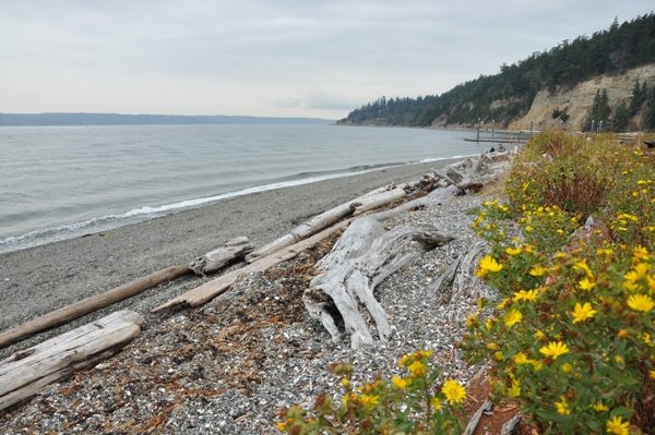 North Beach View North Beach
