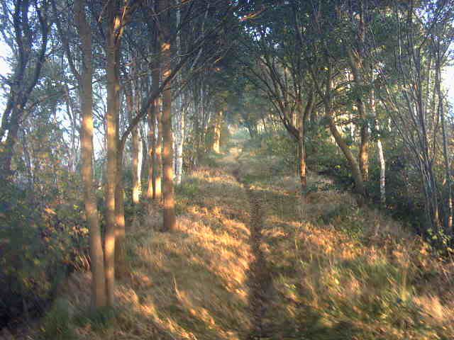 Image hosted by Photobucket.com