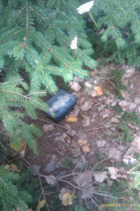 photo 40487_436000006576_1725886_n.jpg