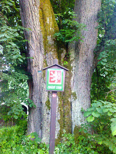 Rathschlag aneb Té lípy se nevzdám