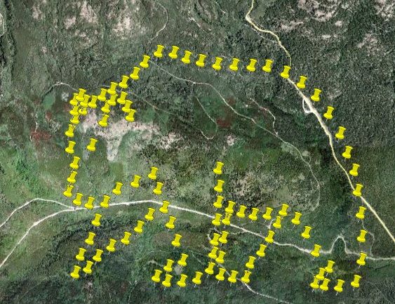 photo bear_zps92835aec.jpg