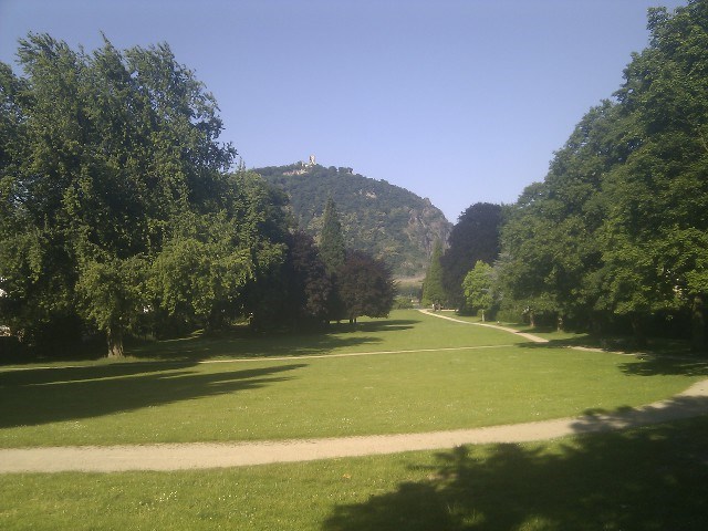 Blick auf den Drachenfels