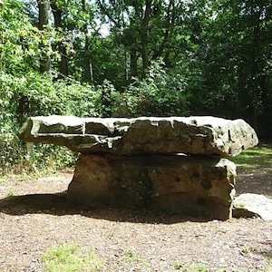 dolmen-hamel-pierre-chavatte-nord-decouverte