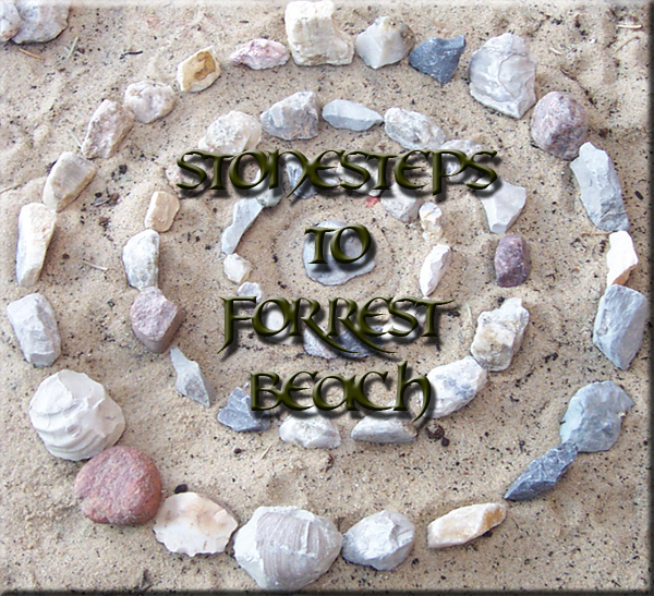 Chipkrieger presents Stonesteps 2 Forrest Beach