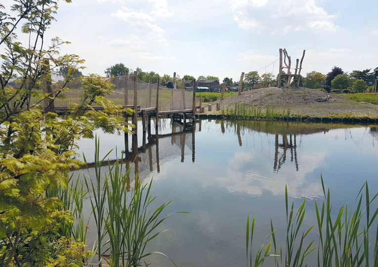 Natuurspeeltuin De Goorn: ravotten en spelen met water - Koggenland