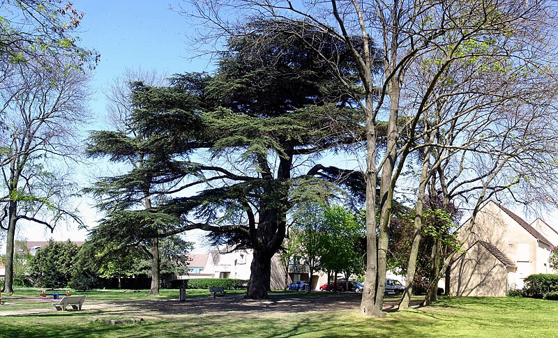 Fichier:Roissy-en-France - Parc du Cedre 01.jpg