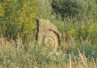 wissenschaftliche Darstellung Ammonit, Rudolf J. Kaltenbach