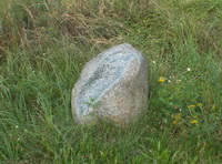 ohne Titel, Rainer Trube