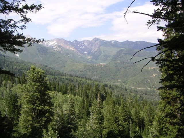 Image hosted by Photobucket.com