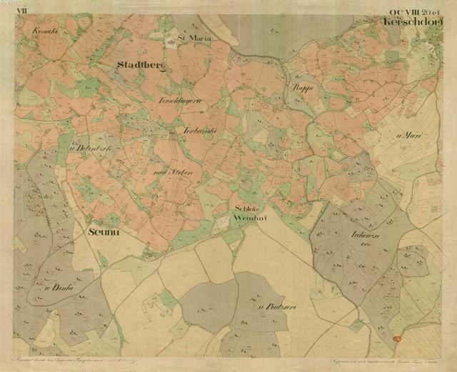 SI_AS_176_N_N264_g_A07