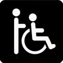 wheelchair assist